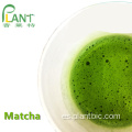 Polvo de té verde matcha certificado orgánico